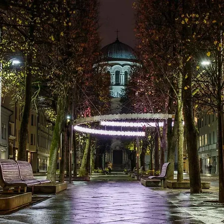 Kaunas City Center Apartment * كاوناس