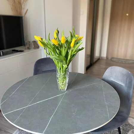 Apartment In The Center