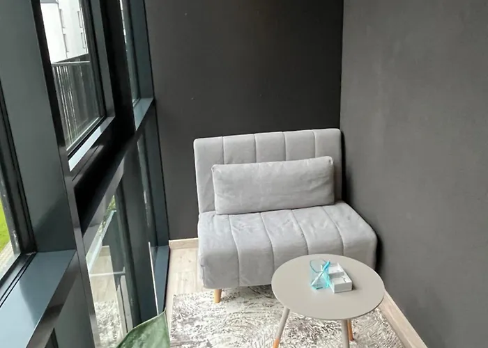 Kaunas City Center Apartment