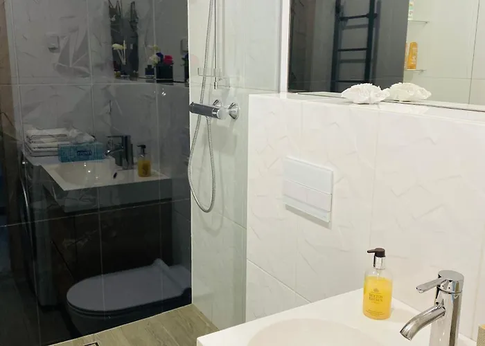 Kaunas City Center Apartment Апартаменты Каунас