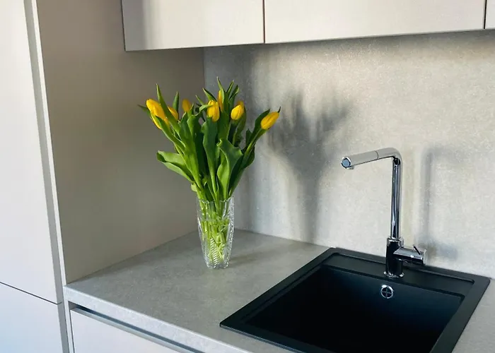 Kaunas City Center Apartment 아파트